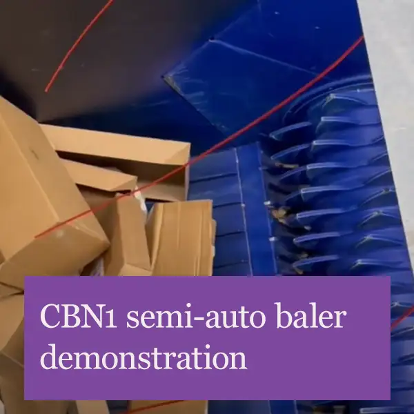 CBN1_demonstration