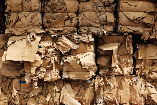 Baled cardboard in stacks.